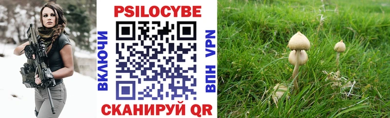 Псилоцибиновые грибы прущие грибы  mega ССЫЛКА  Суворов 